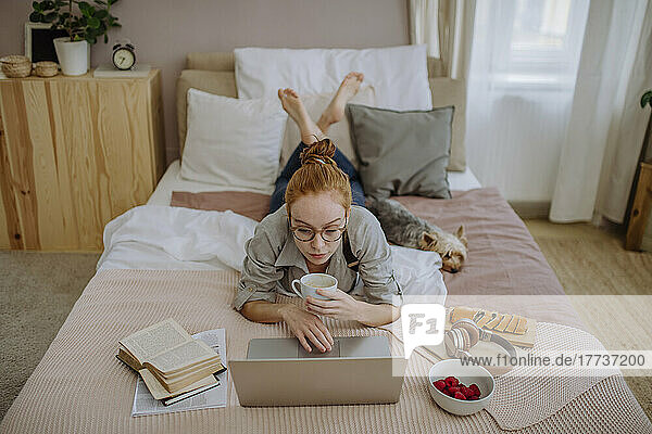 Frau beim E-Learning per Laptop  liegt mit Kaffeetasse neben Hund zu Hause im Bett