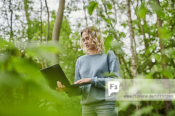 Freelancer using laptop amidst trees in forest