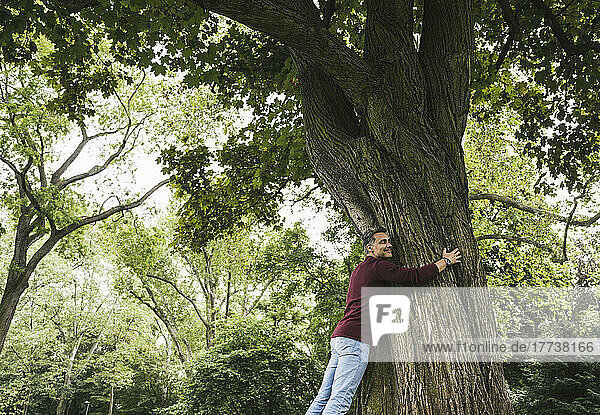 Happy man hugging tree in park