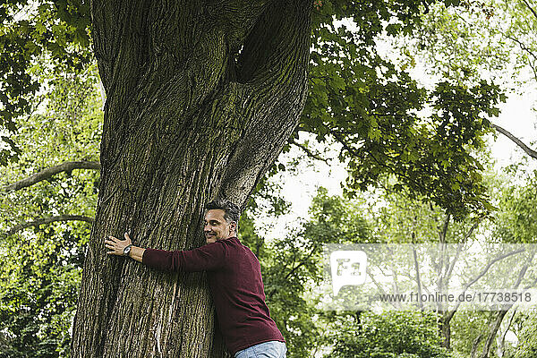 Smiling man hugging tree in park