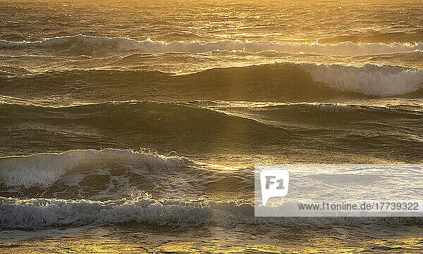 Golden ocean waves washing up on shore at sunrise