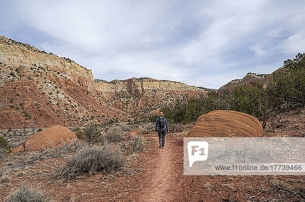 USA  New Mexico  Abiquiu  Rear view of woman hiking in desert landscape