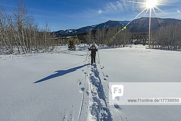 USA  Idaho  Ketchum  Rear view of senior blonde woman snow shoeing in snow covered landscape