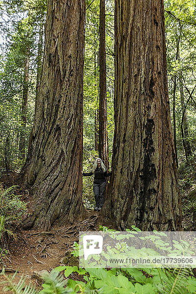 USA  California  Mill Valley  Senior woman hiking through redwood forest near Mt Tamalpais