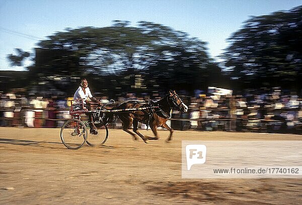 Horse cart race conducted by Society for the Prevention of Cruelty to Animals or S. P. C. A in Coimbatore  Tamil Nadu  India  Asia