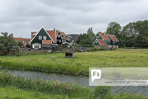Charakteristische grüne Wohnhäuser  Halbinsel Marken  Noord-Holland  Niederlande  Europa