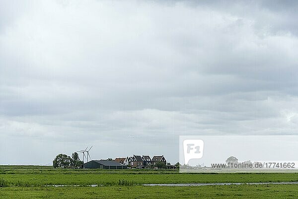 Charakteristische Wohnhäuser  Wiesen  Windräder  Halbinsel Marken  Noord-Holland  Niederlande  Europa