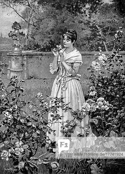 Young elegant lady standing in the garden  summertime  the roses are blooming  illustration  woodcut from 1880  Historic  digitally restored reproduction of a 19th century original  exact date unknown