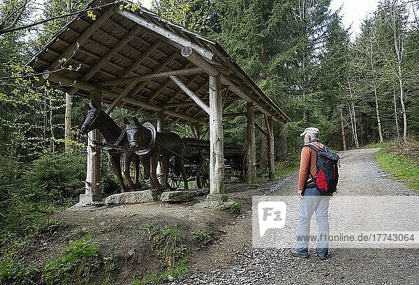 Wooden sculpture  hiker in front of the wooden cart on the Moorwald adventure trail  Bad Leonfelden  Mühlviertel region  Upper Austria  Austria  Europe