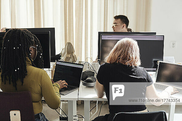 Rückansicht von jungen Unternehmerinnen  die in einem Büro eines Tech-Start-ups an Laptops arbeiten