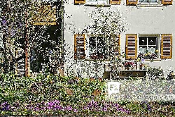 Vorgarten  Gartenidylle  Pflanzen  Gartenschmuck  Dekoration  hinten Wohnhaus  Fenster mit Fensterläden  Bad Niedernau bei Rottenburg  Baden-Württemberg  Deutschland  Europa