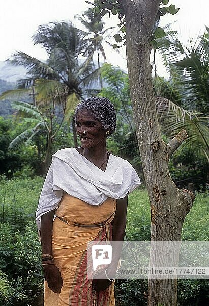 Eine alte Frau aus einem Stamm in Attapadi  Kerala  Indien  Asien