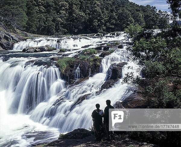 Pykara falls  Nilgiris  Tamil Nadu  India  Asia