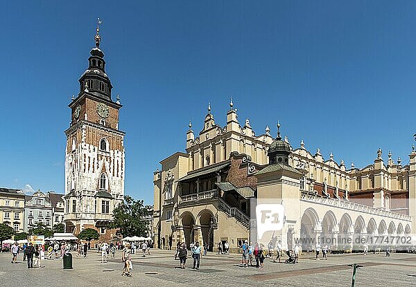 Hauptplatz (Rynek Glowny) mit Sukiennice-Tuchhalle und Rathausturm  Krakau  Polen  Europa