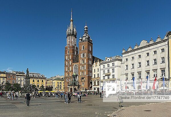 Hauptplatz (Rynek Glowny) mit der Basilika St. Marien  Krakau  Polen  Europa