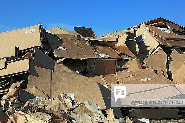 Recyclingbetrieb  Lager Altpapier  Kartons