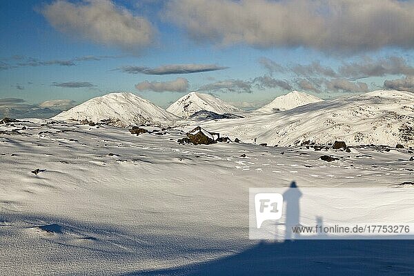 Schatten von Mensch und Hund beim Blick auf schneebedeckte Berggipfel  gesehen von Dubh Bheinn  Paps of Jura  Isle of Jura  Innere Hebriden  Schottland  Großbritannien  Europa
