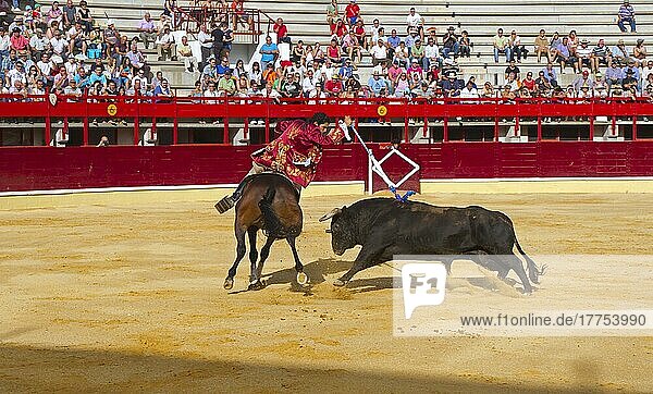 Bullfighting  Rejoneador with rejon de muerte  fighting bull from horseback in bullring  Corrida de rejones  Medina del Campo  Valladolid  Castile-Leon  Northern Spain
