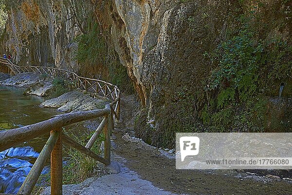 Cerrada de Elias  Schlucht  Fluss Borosa  Sierra de Cazorla Segura und Naturpark Las Villas  Provinz Jaen  Andalusien  Spanien  Europa