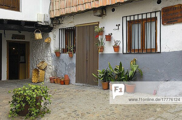 Hervas  jüdisches Viertel  Ambroz-Tal  Provinz Caceres  Extremadura  Spanien  Europa