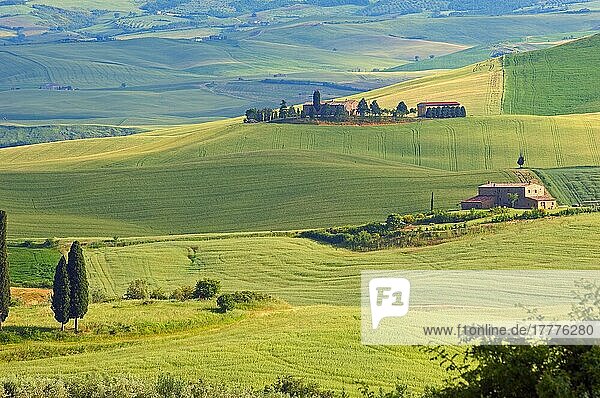 Val d'Orcia  UNESCO-Weltkulturerbe  Felder und Bauernhäuser  Landschaft der Toskana  Pienza  Provinz Siena  Toskana  Italien  Europa