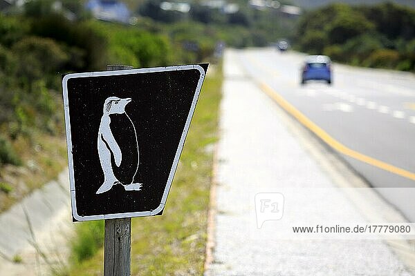 Wegweiser zu Pinguinen  Straßenschild  Richtung Pinguine  Betty's Bay  Westkap  Südafrika