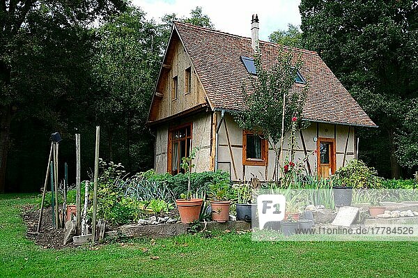 Ökologisch gebautes Haus  mit Gemüsegarten  Spätsommer  Elsass  Ökohaus  Frankreich  Europa