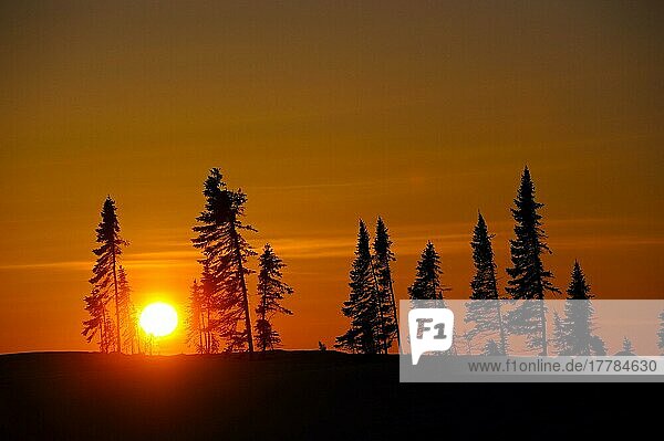 Tundra at sunset  Wapusk National Park  Churchill  Manitoba  Canada  North America