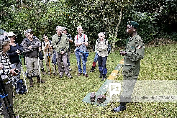 Ranger erklärt Touristen die 7-Meter-Distanz-Regel  Bwindi-Regenwald Nationalpark  Uganda  Afrika