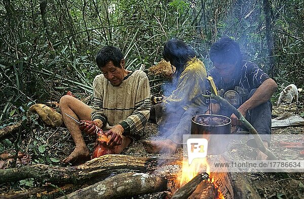 Ache men  cutting and cooking of paca (Agouti paca)  Mbaracayu Forest Reserve  Eastern Paraguay