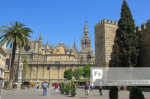 Kathedrale und Giralda-Turm  Sevilla  Andalusien  Spanien  Europa