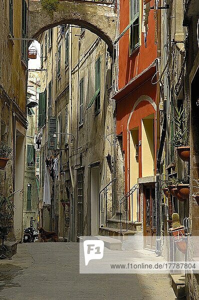 Ventimiglia  Altstadt  Ligurien  Italienische Riviera  Provinz Imperia  Italien  Europa