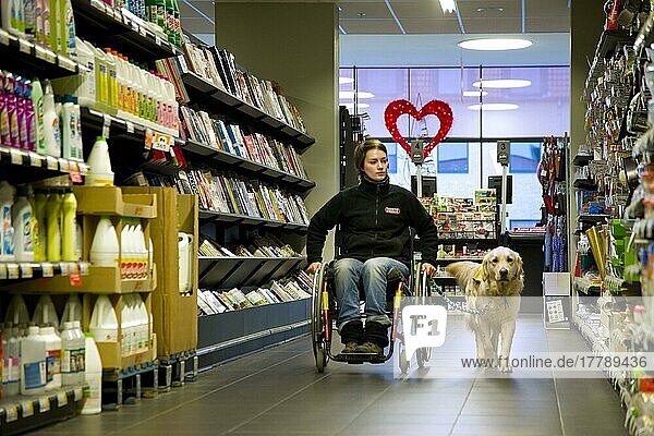 Rollstuhlfahrerin und Golden Retriever  Behindertenbegleithund  Assistenzhund  Belgien  Europa