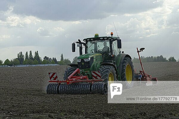 Tractor cultivating  St. Hubert  Kempen  Viersen  North Rhine-Westphalia  tractor  tractor  Germany  Europe