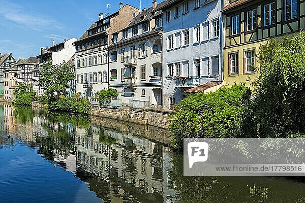 Fachwerkhäuser  die sich im ILL-Kanal entlang des Quai de la Petite France spiegeln  Straßburg  Elsass  Departement Bas-Rhin  Frankreich  Europa
