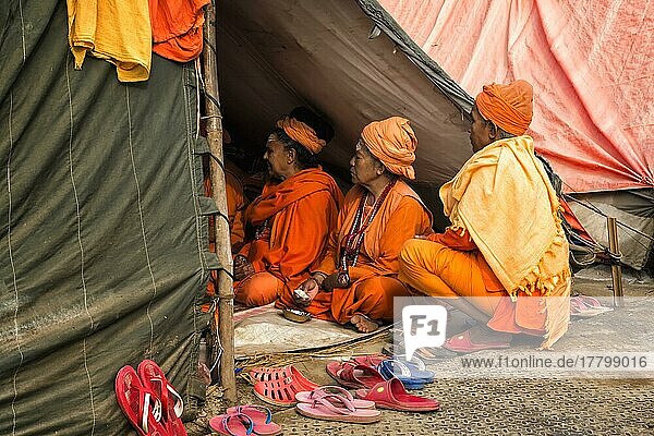Sadhvi in orange-rotem Saree während der Allahabad Kumbh Mela  der größten religiösen Versammlung der Welt  Uttar Pradesh  Indien  Asien