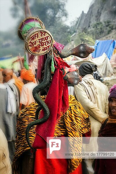 Snake charmer with cobra  Allahabad Kumbh Mela  largest religious gathering in the world  Uttar Pradesh  India  Asia