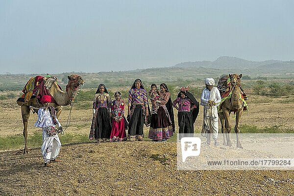 Rabari tribe people walking in the desert with dromedary  Great Rann of Kutch desert  Gujarat  India  Asia