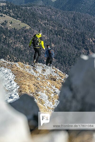 Mountaineers on the hiking trail to the Guffert  Brandenberg Alps  Tyrol  Austria  Europe