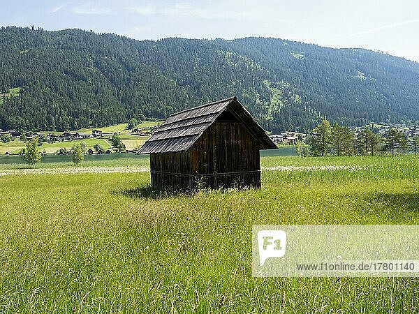 Hay hut  west shore of Lake Weissensee  Carinthia  Austria  Europe