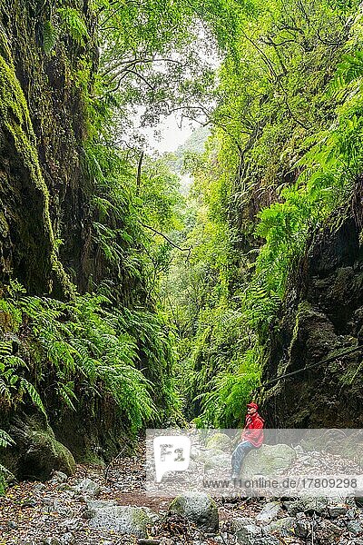 Hikers in the laurel forest of the water gorge  Barranco del Agua  Los Tilos  La Palma Island  Canary Islands  Spain  Europe