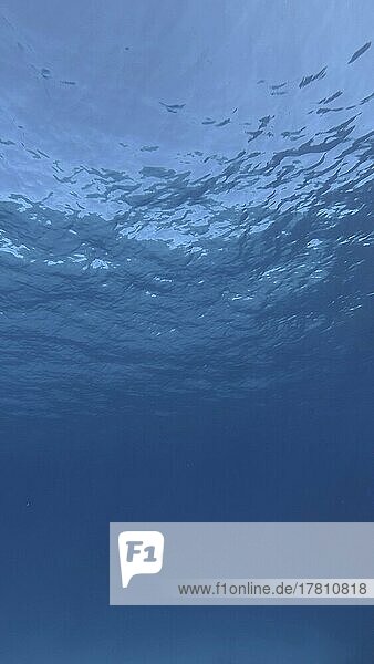 Oberfläche des Meeres. Natürlicher Hintergrund mit Sonnenstrahlen auf der Oberfläche des Wassers. Unterwasser-Ansicht. Rotes Meer  Ägypten  Afrika