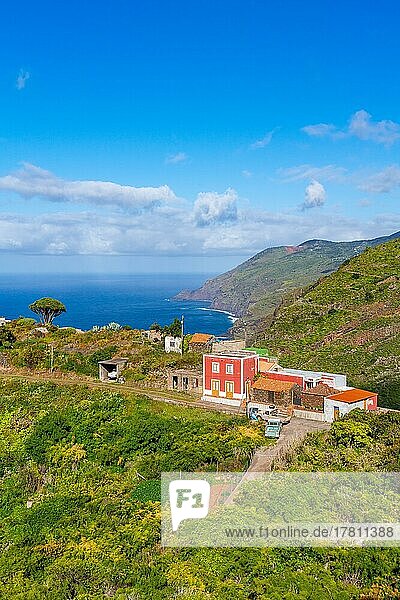 Häuser im Dorf El Tablado und Steilküste am Atlantik  Insel La Palma  Kanarische Inseln  Spanien  Europa