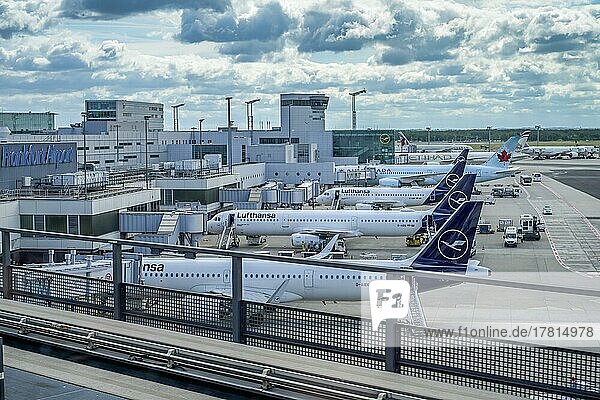 Flugzeuge  Gate  Abfertigung  Lufthansa  Flughafen  Frankfurt am Main  Hessen  Deutschland  Europa