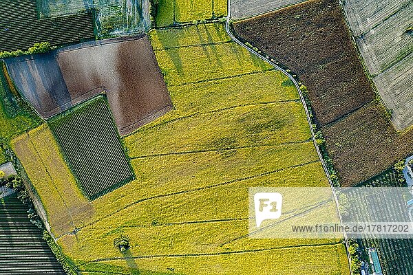 Luftaufnahme von Maisfeld  Weinberg  Wald  Sojabohne (Glycine max)  Soja