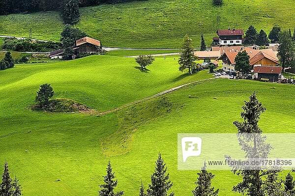 Bauernhof und grüne Wiesen bei Zell  Allgäu  Bayern  Deutschland  Europa