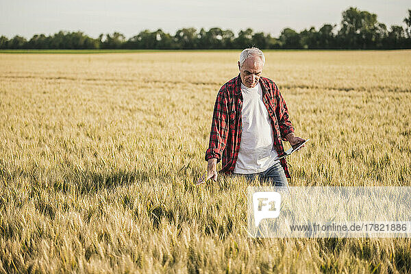 Farmer with tablet PC walking in farm