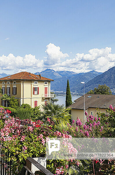 Switzerland  Ticino  Locarno  Historic villa with flowering bushes in foreground and mountains in background