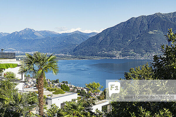Switzerland  Ticino  Locarno  View of Lake Maggiore in summer with houses in foreground and mountains in background
