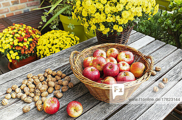 Walnuts and basket of apples lying on balcony table